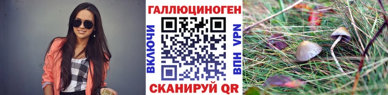 Галлюциногенные грибы мицелий  это телеграм  Мытищи  как найти наркотики 